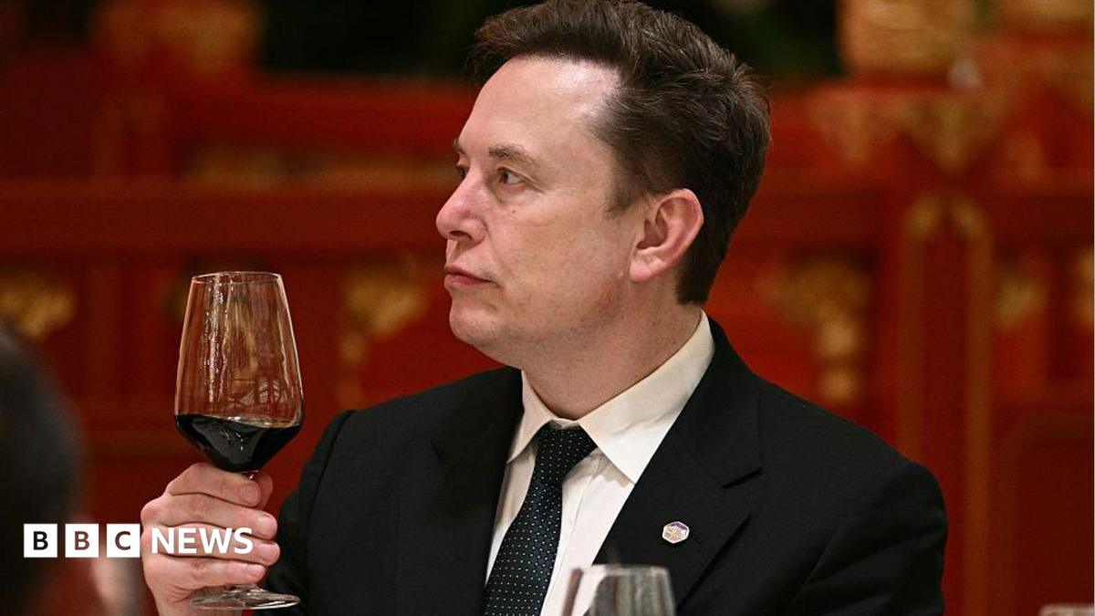 Elon Musk diz: 'Vamos aproveitar o passeio' enquanto crescem
