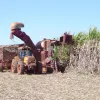 Produ��o de cana recua, mas etanol atinge e a��car se mant�m em alta
