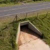Atropelamentos de fauna silvestre avan�am no Brasil e aprova��o de plano nacional acende alerta no Mato Grosso do Sul