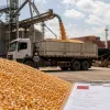 Advers�rio do Brasil na Copa do Mundo compra 1,37 milh�o de toneladas de milho de Mato Grosso