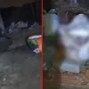 Beb� rec�m-nascida � encontrada morta em sacola no Mato Grosso