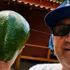 Abacate gigante de quase 2,5 kg � encontrado no Esp�rito Santo e fica perto do recorde mundial