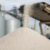 Lucro da Yara dispara 32% no segundo trimestre de 2026