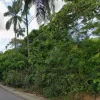 Salvador aprova licen�a para novo cemit�rio vertical e cremat�rio em bairro movimentado