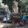 Temporais deixam bairros do Rio sem luz ap�s queda de �rvores