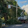Vento de 75 km/h derruba �rvores e deixa bairros de Estiva Gerbi sem luz