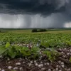 Chuva forte e trovoada tomam conta do Sudeste e Centro-Oeste nesta sexta-feira