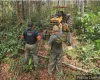Polcia Civil e Ibama intensificam combate ao desmatamento ilegal em Comodoro