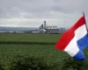 Paraguai registra safra hist�rica de soja e pode superar 12 milh�es de toneladas em 2026