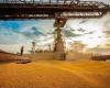 Exporta��es de milho crescem em mar�o, mas incertezas sobre demanda e log�stica preocupam mercado para 2026