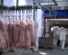 Exporta��es de carne su�na do Brasil batem recorde hist�rico em mar�o