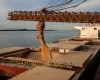 Exporta��es de soja ganham ritmo em mar�o enquanto riscos geopol�ticos pressionam custos log�sticos