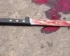 Criminosos invadem casa e matam mulher com facadas no pesco�o