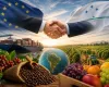 Acordo Mercosul-UE entra em vigor e abre mercado para agro brasileiro, com desafios distintos para caf� e frutas