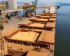 Exporta��es brasileiras de soja disparam em 2026 e ANEC projeta embarques acima de 108 milh�es de toneladas