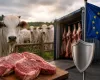 Carne brasileira sob press�o: risco de perda de competitividade global cresce com exig�ncias sanit�rias da Uni�o Europeia