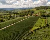 Vale dos Vinhedos � o destino do  vinho brasileiro mais premiado no 13� Brazil Wine Challenge