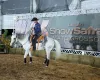 Leil�es, gen�tica e inova��o fazem do Show Safra Pecu�ria um polo de neg�cios