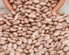 Feij�o carioca sofre press�o com avan�o da terceira safra, enquanto feij�o preto mant�m estabilidade no mercado
