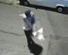 Vizinho dispara contra mulher ap�s briga com a esposa no DF; v�tima foi atingida na barriga
