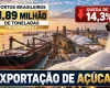 Exporta��o de a��car: portos t�m 1,89 milh�o de toneladas programadas, queda de 14,3%