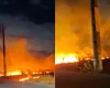 Fogo na Lagoa do Colosso mata animais silvestres e filhotes de c�es