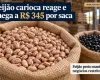 Pre�o do feij�o carioca reage e chega a R$ 345 por saca; preto mant�m neg�cios restritos