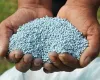 Poder de compra de fertilizantes atinge o menor nvel em mais de 30 meses no Brasil