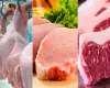 Produo de carnes no Brasil deve se manter acima de 31 milhes de toneladas em 2025, aponta Conab