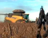 Produtividade de milho em Mato Grosso aumenta 7%