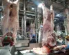 Abates de bovinos no Brasil devem atingir recorde em 2025