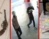 Menino de 11 anos fica ferido ap�s bala perdida de bandidos em farm�cia