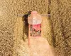 Mato Grosso � campe�o de gr�os no Brasil e domina produ��o de gergelim