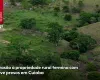 9 homens s�o presos por invadir e lotear fazenda em Cuiab�