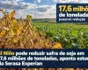 El Ni�o pode reduzir safra de soja em 17,6 milh�es de toneladas, aponta estudo da Serasa Experian