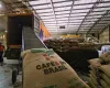 Exportaes de caf caem 20% em 2025 e tarifas dos EUA seguem pressionando o setor