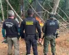 Pol�cia Federal destr�i garimpos ilegais no Amap� e Par�