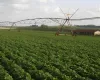 Startup usa tecnologia para prever falta de �gua no campo