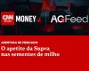 Supra quer ser uma das maiores em sementes de milho