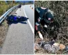Piloto perde controle de moto e morre em acidente na estrada de Chapada