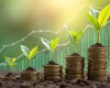 Fundo agro da �xes rendeu mais de 400% em seis anos