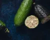 S�o Paulo cria primeiro lim�o caviar do Brasil, fruta que pode custar at� R$ 1,2 mil o quilo