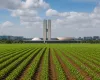 CNA refor�a pedidos do agroneg�cio no Congresso antes da pausa dos deputados