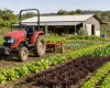 BNDES libera R$ 24,4 milh�es para ajudar agricultura familiar no Rio Grande do Sul