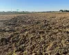Santa Catarina se prepara para a pr�xima safra de arroz com cuidado especial no solo
