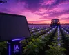 Senar cria curso gr�tis de intelig�ncia artificial para o campo