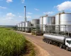 Ra�zen vende usina para Adecoagro por R$ 760 milh�es