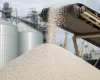 Lucro da Yara dispara 32% no segundo trimestre de 2026