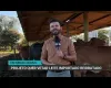 Assembleia de Minas pro�be uso de leite em p� importado como leite l�quido