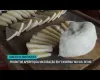 Produtor de Minas Gerais cria caverna para maturar queijos